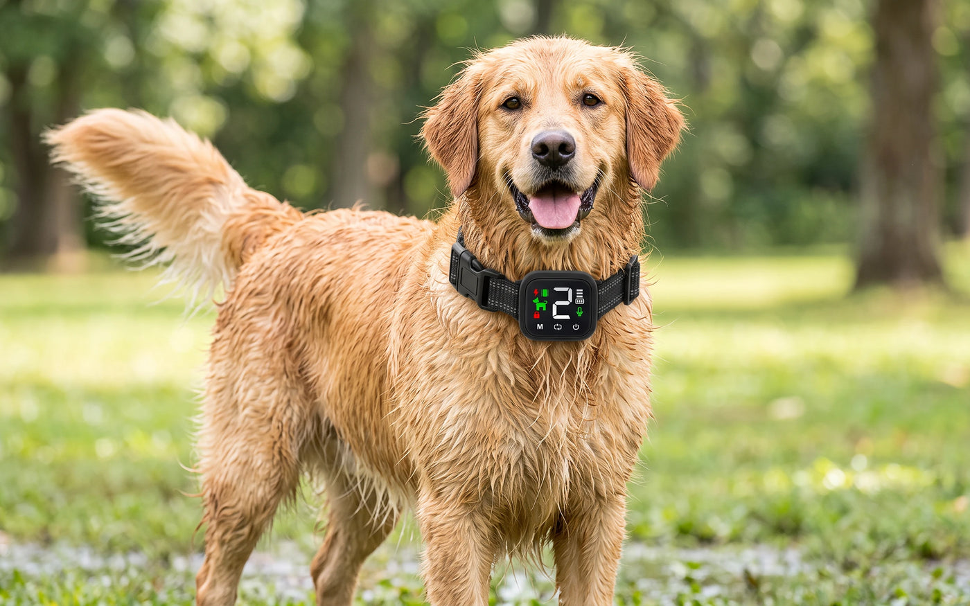Rain, mud, the garden hose.