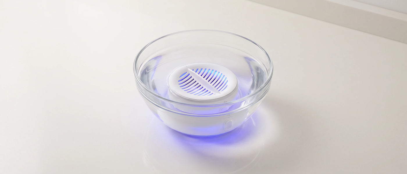 PuriBreeze puck running in a bowl of water