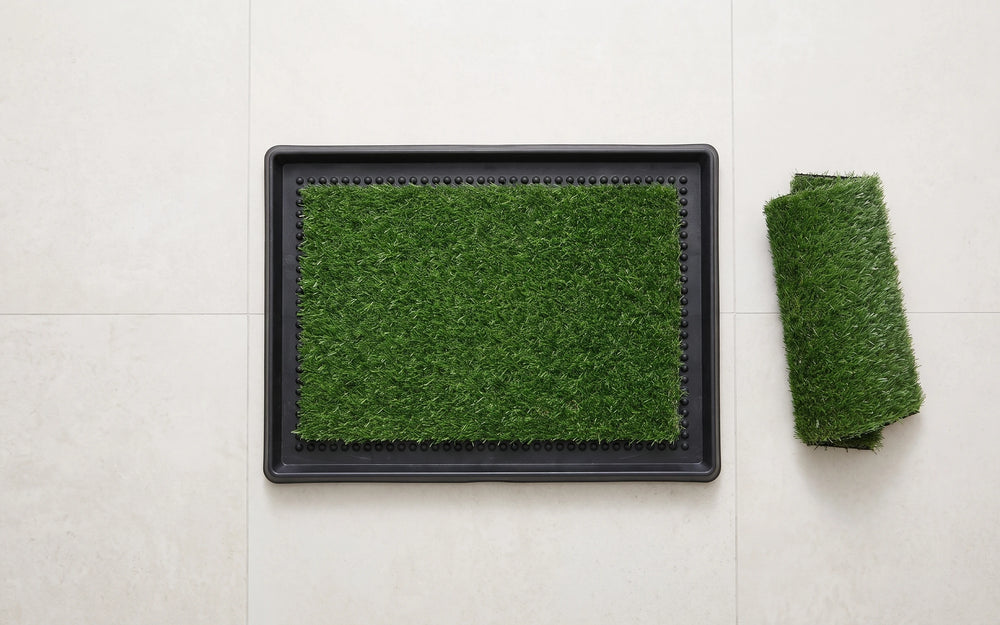 The assembled potty on a tiled floor beside a single rolled spare turf pad